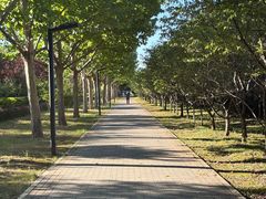 -牛栏山市场