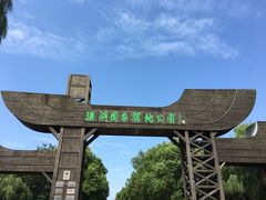 -溱湖国家湿地公园