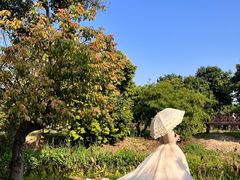 -海珠湖公园