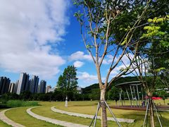 -牛岗山公园
