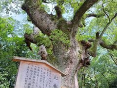 -热田神宫