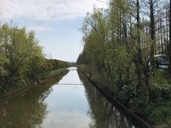 -明珠湖天鹅苑·农家菜馆