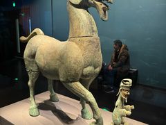 -广西壮族自治区博物馆