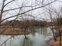 -梁鸿国家湿地公园