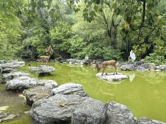 -周口店北京人遗址公园