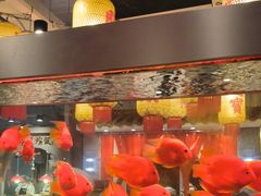 -朱光玉火锅馆(正弘城店)