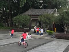 -荔湾湖公园