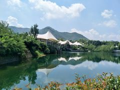 -帐篷客·溪龙茶谷度假酒店