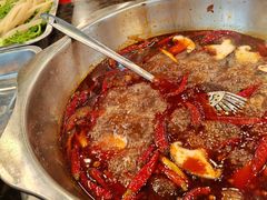 -金鼎雪山牦牛杂火锅(理县总店)