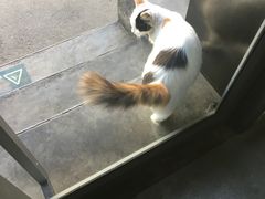 -Tubestation站点比萨(五道营店)