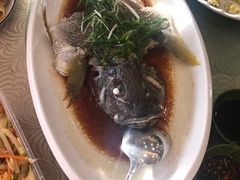 -湛江渔港·大排档(乐园路总店)