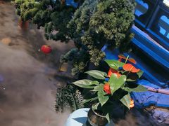 -红蜡烛-养生粥-津鲁菜(中山路店)