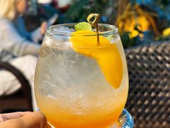 -Fern Forest Cafe