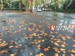 香格里拉饭店-杭州香格里拉饭店