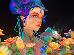 -淄博花灯齐彩城