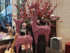 -深圳湾木棉花酒店