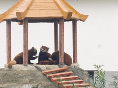 -杭州野生动物世界