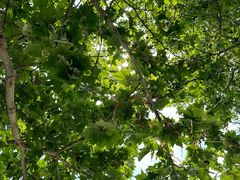 -山东外贸职业学院