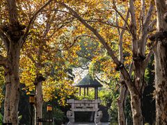 -东湖听涛景区