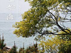 -青岛海滨风景区小青岛