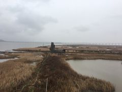 -漩门湾国家湿地公园