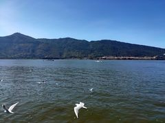 -滇池海埂公园