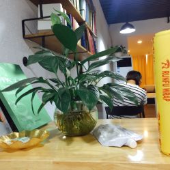 -明洞造型精品烫染