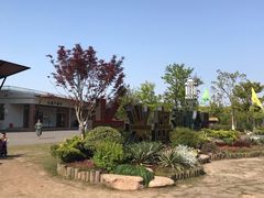 -上海长兴岛郊野公园