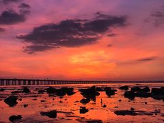 -宝安西湾红树林湿地公园