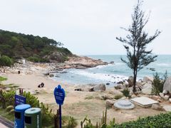 -广东惠东海龟国家级自然保护区