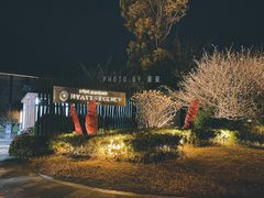 -上海崇明金茂凯悦酒店