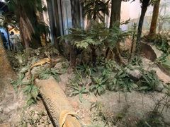 -浙江自然博物院(杭州馆)