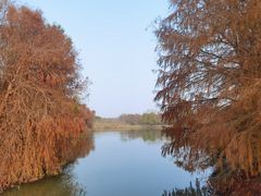 -上海海湾国家森林公园