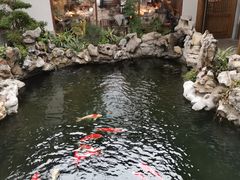 -鲤院·新中式美学·庭院餐厅(夫子庙店)