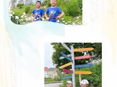 -大塘金香草谷