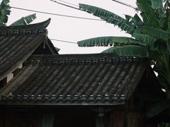 -莫催咖啡