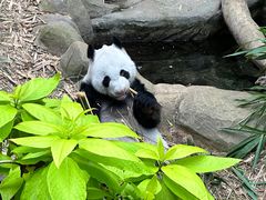 -河川生态园