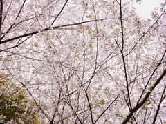 -杭州城北体育公园