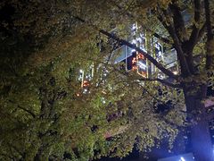 -三江两海老火锅(北京首店)