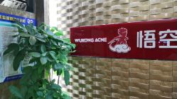 -悟空祛痘·诺奖技术专业店