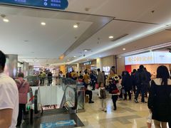 -鹏欣水游城