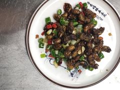 干煸金蝉-蒙阴光棍鸡(新石中路店)