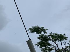 -白石龙音乐公园