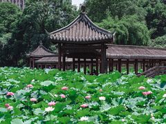 -龙头寺公园