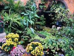 -园林美食城·本土农家菜(杨和镇店)