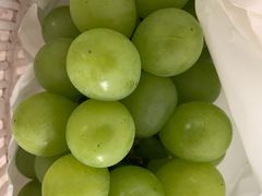 -马陆小张葡萄园农家乐