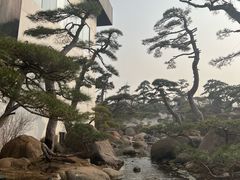 -罗红摄影艺术馆