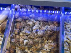 -金海湾海鲜排档(朱家尖店)