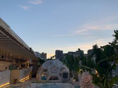 -天空花园餐吧·生日·团建(南山店)