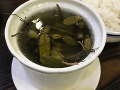 -春梅里卤鹅馆·47年老字号(中山路店)